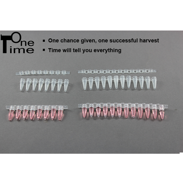 0.2ML 12LINK CENTRIFUGE TUBES